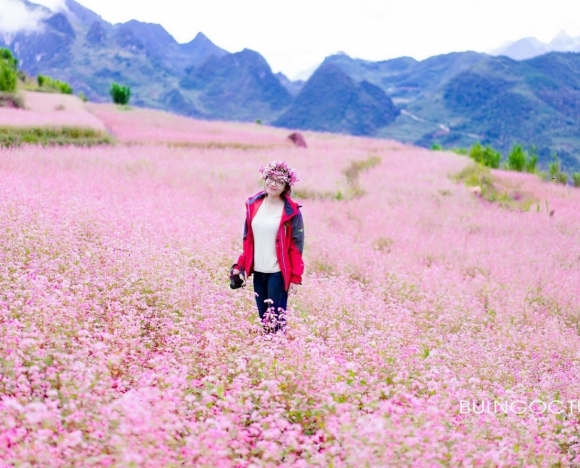 TOUR TẾT 2026 | HÀ GIANG - CAO BẰNG 5N4D