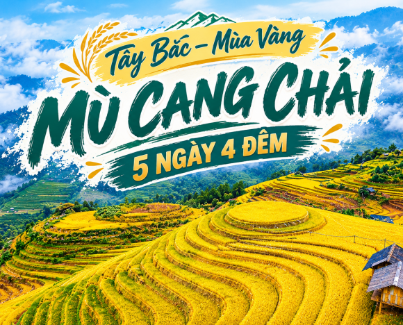 MÙ CANG CHẢI - TÂY BẮC MÙA VÀNG