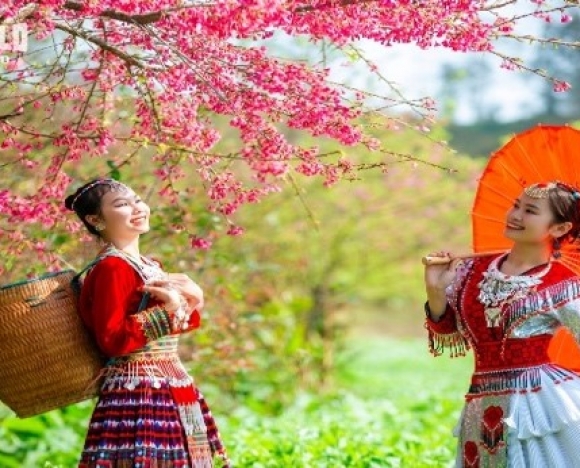 TOUR TẾT 2026 | MIỀN BẮC 5N4D: HÀ NỘI – SAPA - NINH BÌNH – TAM CHÚC - HẠ LONG