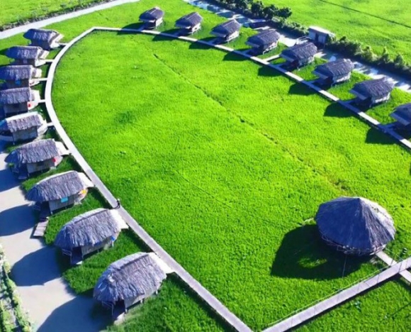 TOUR ĐỒNG THÁP 2N1D - HÀNH TRÌNH VỀ VỚI THIÊN NHIÊN 