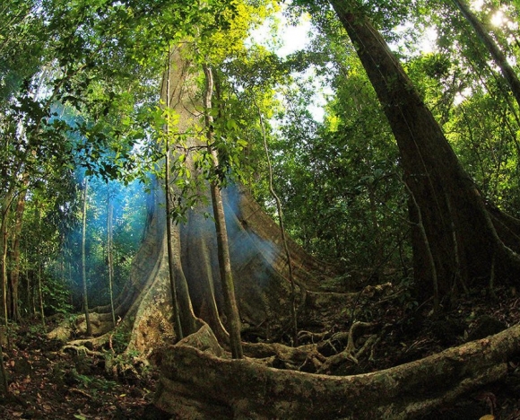 Tour Nam Cát Tiên 2N1D: Hành trình Chữa lành